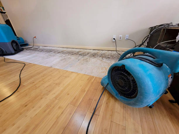 Professional Sewage Cleanup technician working in Waban, MA